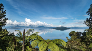 Photo of New Zealand landscape | Neo Consulting